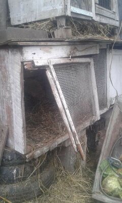 photo_2021-01-06_16-13-36 (5).jpg