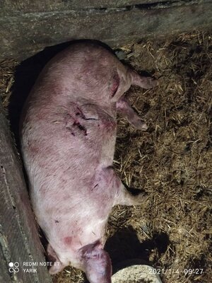 photo_2021-01-06_16-13-36 (2).jpg