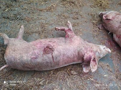 photo_2021-01-06_16-13-36 (3).jpg