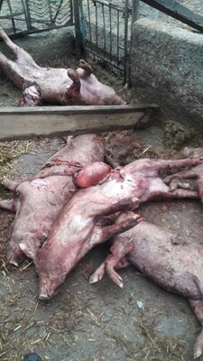 photo_2021-01-06_16-13-36 (4).jpg