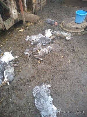 photo_2021-01-06_16-13-35 (2).jpg