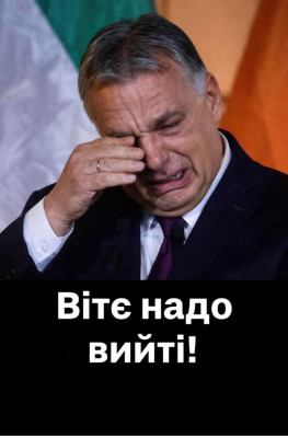 IMG_1721.jpeg